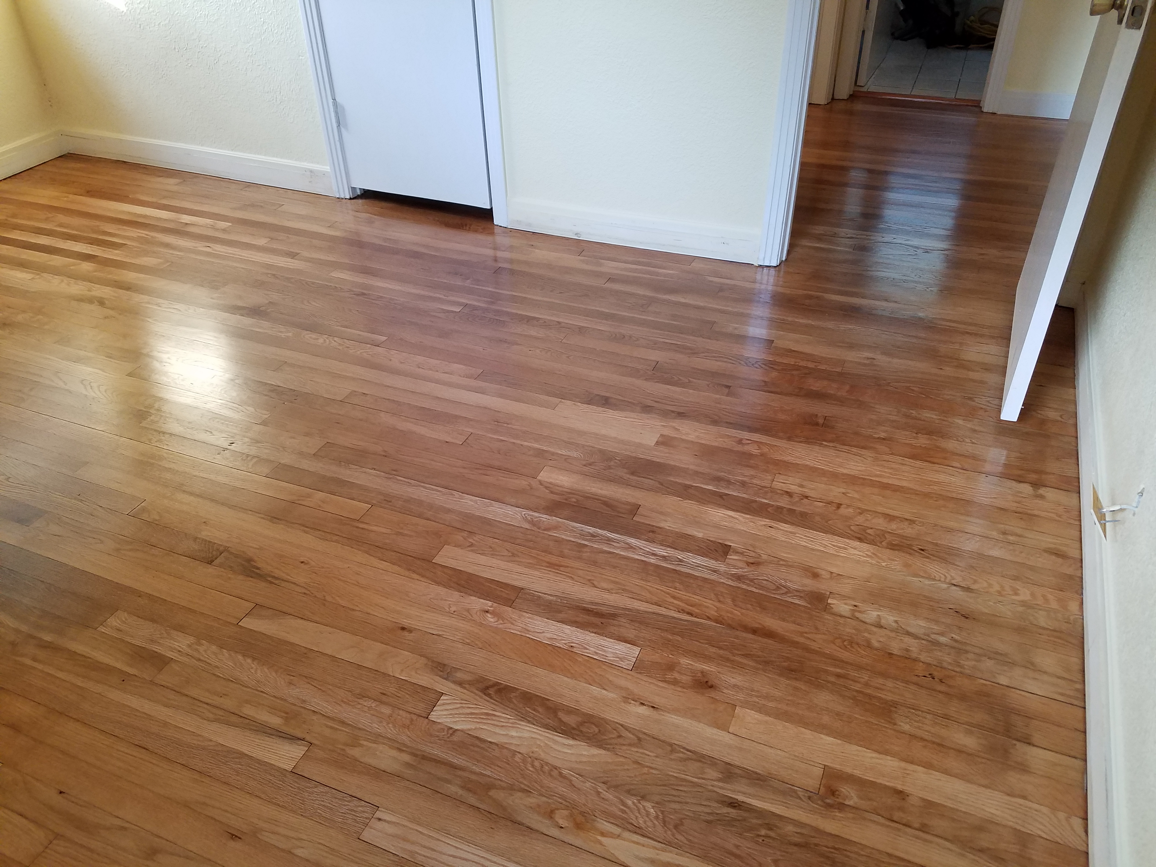 Dunedin Residential Home Refinish B&M Hardwood Floors